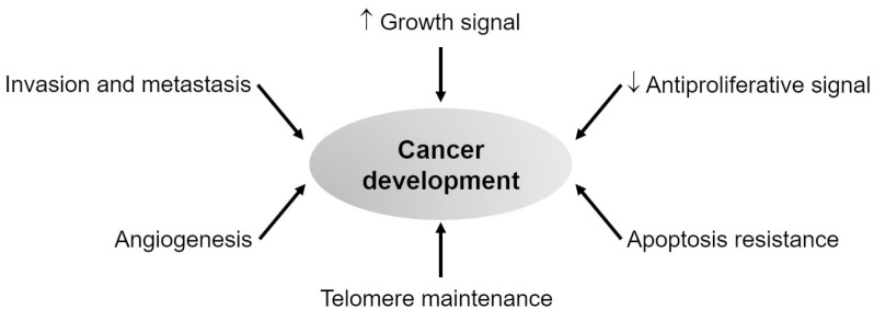 Impact of Lifestyle Behaviors on Cancer Risk and Prevention.