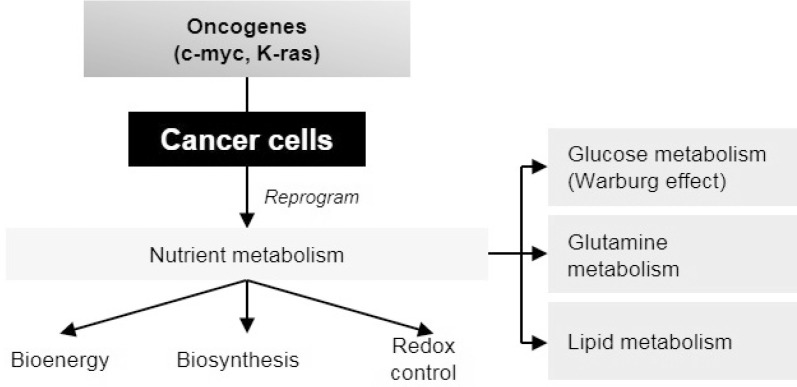 Impact of Lifestyle Behaviors on Cancer Risk and Prevention.