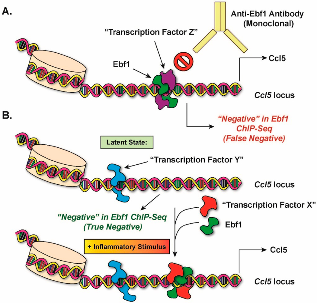 Nipping Adipocyte Inflammation in the Bud.