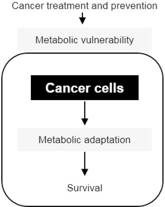 Impact of Lifestyle Behaviors on Cancer Risk and Prevention.