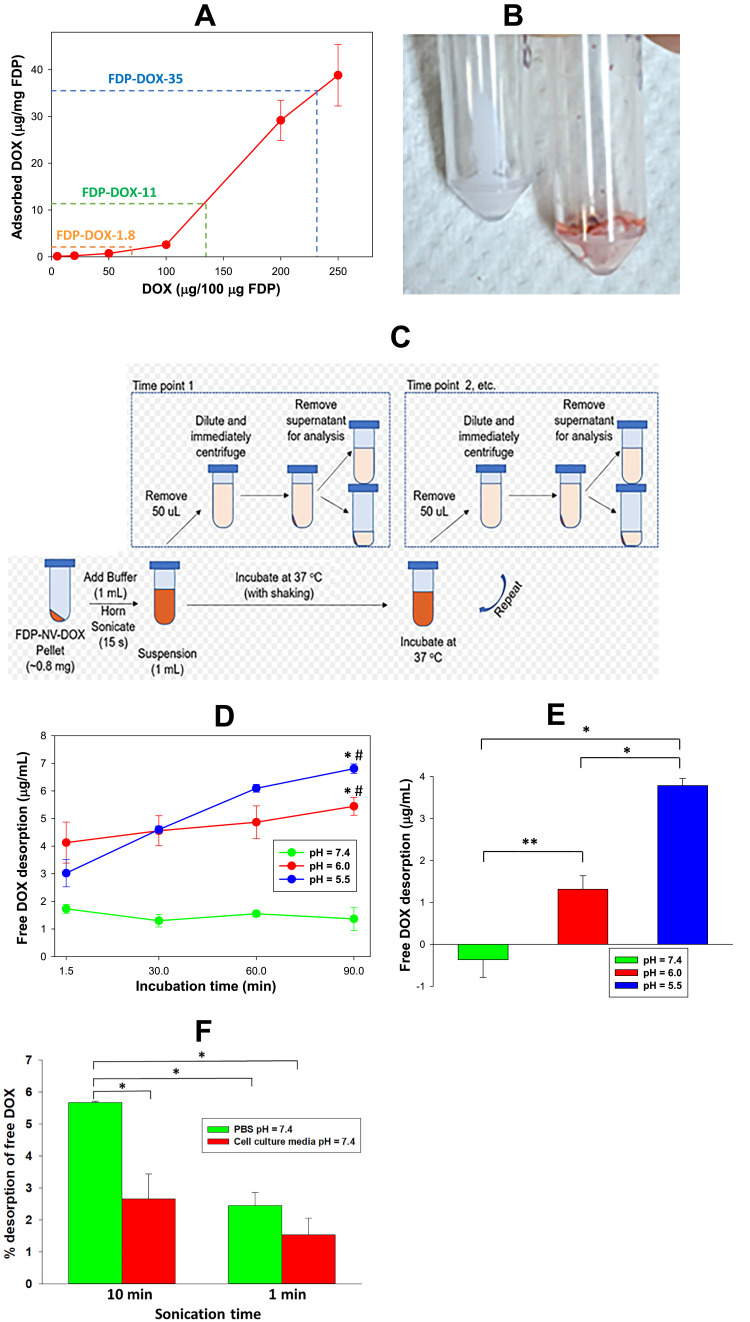 Pharmacodynamic Studies of Fluorescent Diamond Carriers of Doxorubicin in Liver Cancer Cells and Colorectal Cancer Organoids.