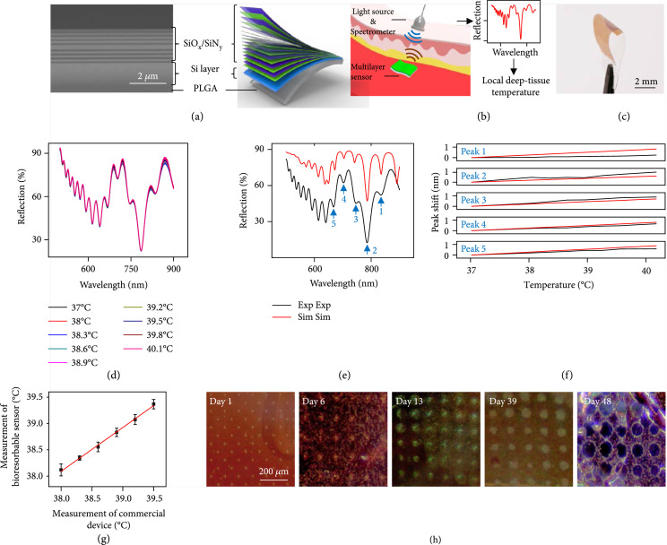 Bioresorbable Multilayer Photonic Cavities as Temporary Implants for Tether-Free Measurements of Regional Tissue Temperatures.