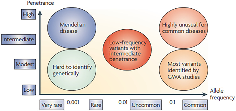 Updates in Prostate Cancer Research and Screening in Men at Genetically Higher Risk.