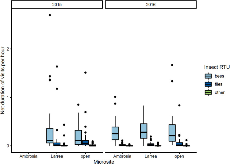 Shrubs as magnets for pollination: A test of facilitation and reciprocity in a shrub-annual facilitation system