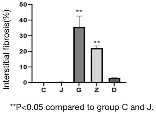 PM2.5 inducing myocardial fibrosis mediated by Ang II/ERK1/2/TGF-β<sub>1</sub> signaling pathway in mice model.