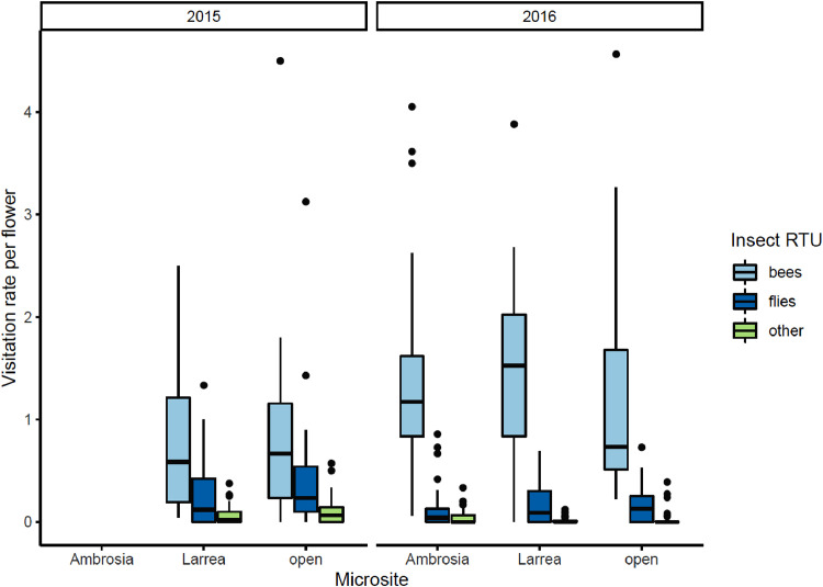 Shrubs as magnets for pollination: A test of facilitation and reciprocity in a shrub-annual facilitation system