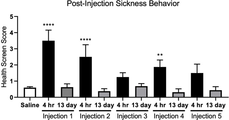 Intermittent Lipopolysaccharide Exposure Significantly Increases Cortical Infarct Size and Impairs Autophagy.