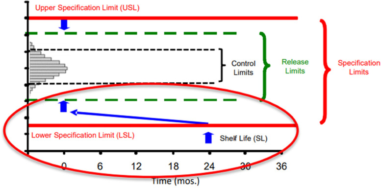 Meeting Report: Vaccine Stability Considerations to Enable Rapid Development and Deployment.