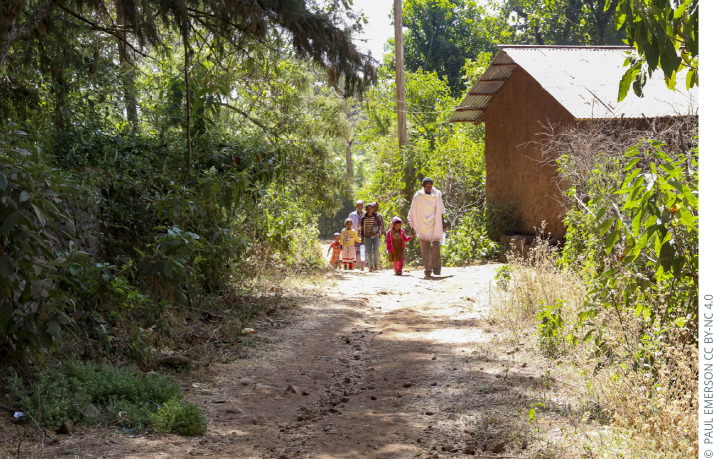 Data integration into national health information systems: the Ethiopia national trachoma control programme.