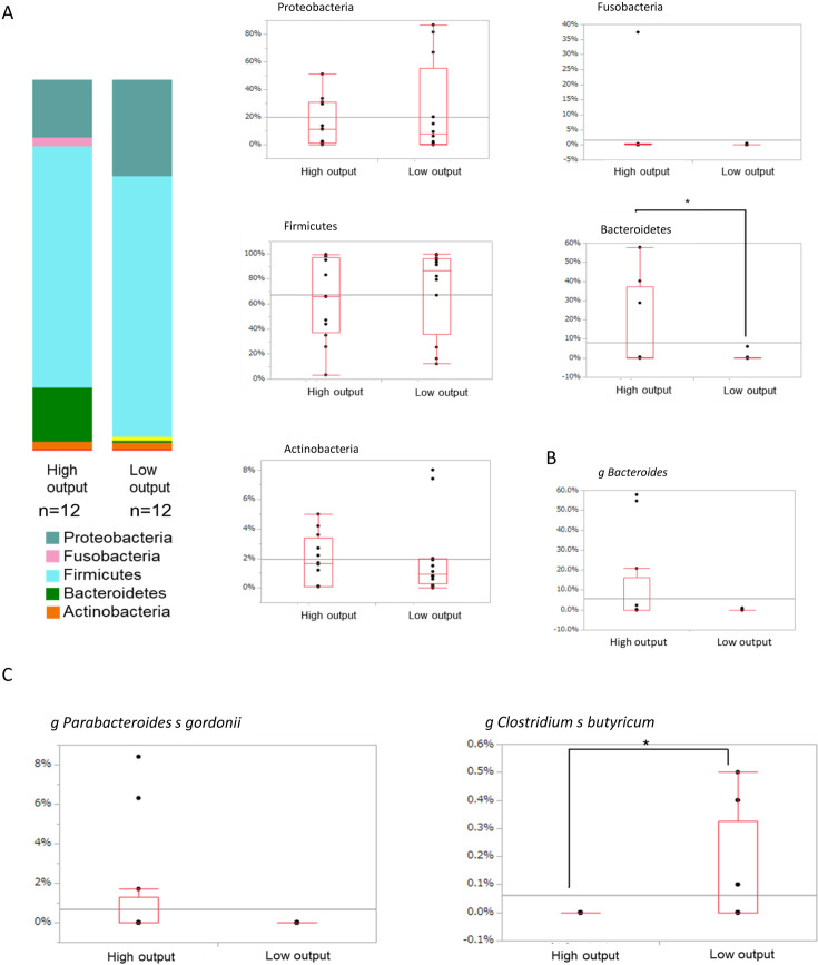 Analysis of ileostomy stool samples reveals dysbiosis in patients with high-output stomas.