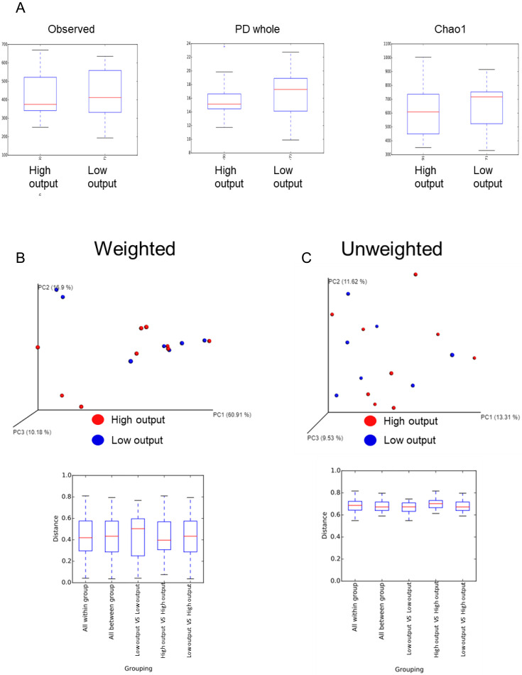 Analysis of ileostomy stool samples reveals dysbiosis in patients with high-output stomas.