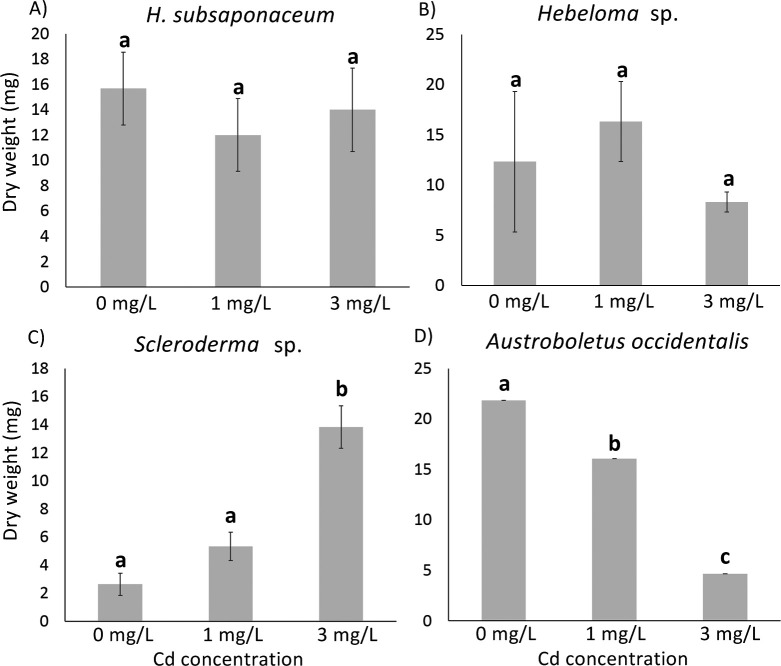 Cadmium stress causes differential effects on growth and the secretion of carbon-degrading enzymes in four mycorrhizal basidiomycetes.