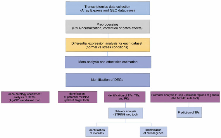 Integrating expression data and genomic sequences to investigate transcriptional regulation in barley in response to abiotic stress.