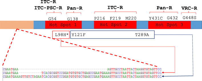 Emergence of Triazole Resistance in <i>Aspergillus</i> spp. in Latin America.