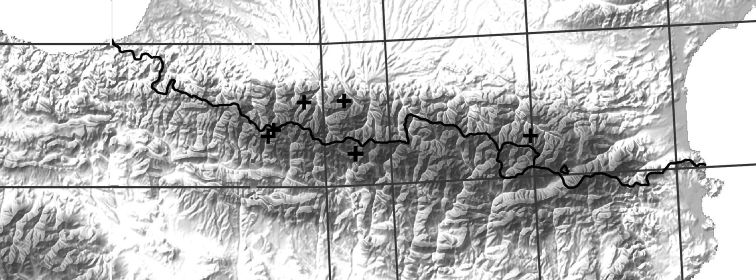 A re-examination of the West European species of <i>Boreonectes</i> Angus, 2010, with particular reference to <i>B. multilineatus</i> (Falkenström, 1922) (Coleoptera, Dytiscidae).