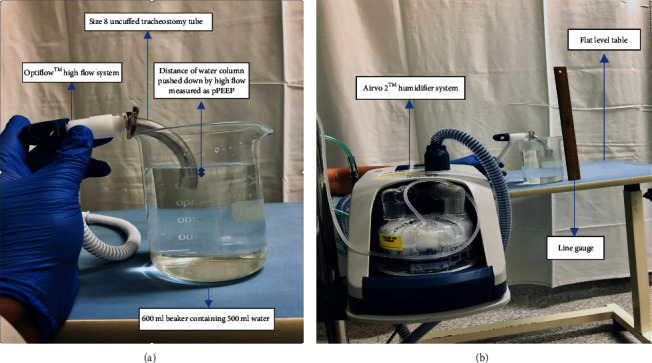 How Much PEEP Does High Flow Deliver via Tracheostomy? A Literature Review and Benchtop Experiment.