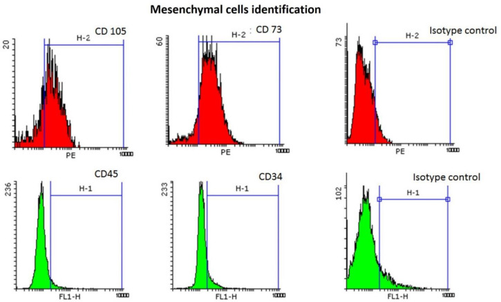 Induction of Apoptosis in the U937 Cell Line Co-cultured with Adipose-derived Stem Cells Secreting Bone Morphogenetic Protein-4.