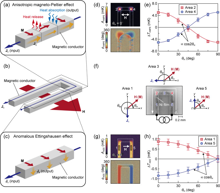 Transport phenomena in spin caloritronics.