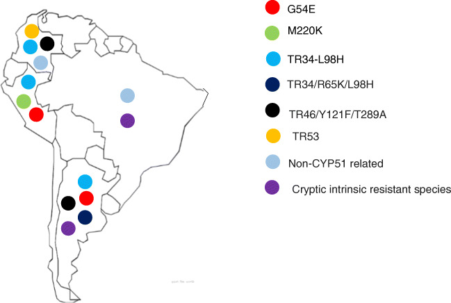 Emergence of Triazole Resistance in <i>Aspergillus</i> spp. in Latin America.