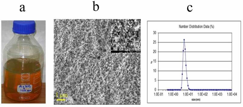 Exploring potential of copper and silver nano particles to establish efficient callogenesis and regeneration system for wheat (<i>Triticum aestivum</i> L.).