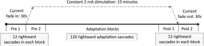 Investigating the effects of cerebellar transcranial direct current stimulation on saccadic adaptation and cortisol response.