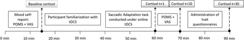 Investigating the effects of cerebellar transcranial direct current stimulation on saccadic adaptation and cortisol response.