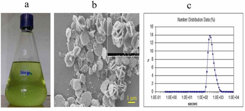 Exploring potential of copper and silver nano particles to establish efficient callogenesis and regeneration system for wheat (<i>Triticum aestivum</i> L.).