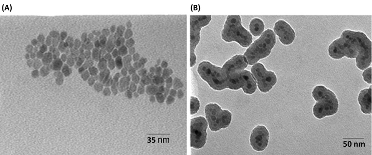 Efficient conjugation of anti-HBsAg antibody to modified core-shell magnetic nanoparticles (Fe<sub>3</sub>O<sub>4</sub>@SiO<sub>2</sub>/NH<sub>2</sub>).