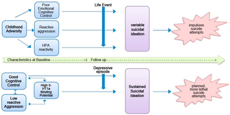 Identifying Neurobiological Underpinnings of Two Suicidal Subtypes.