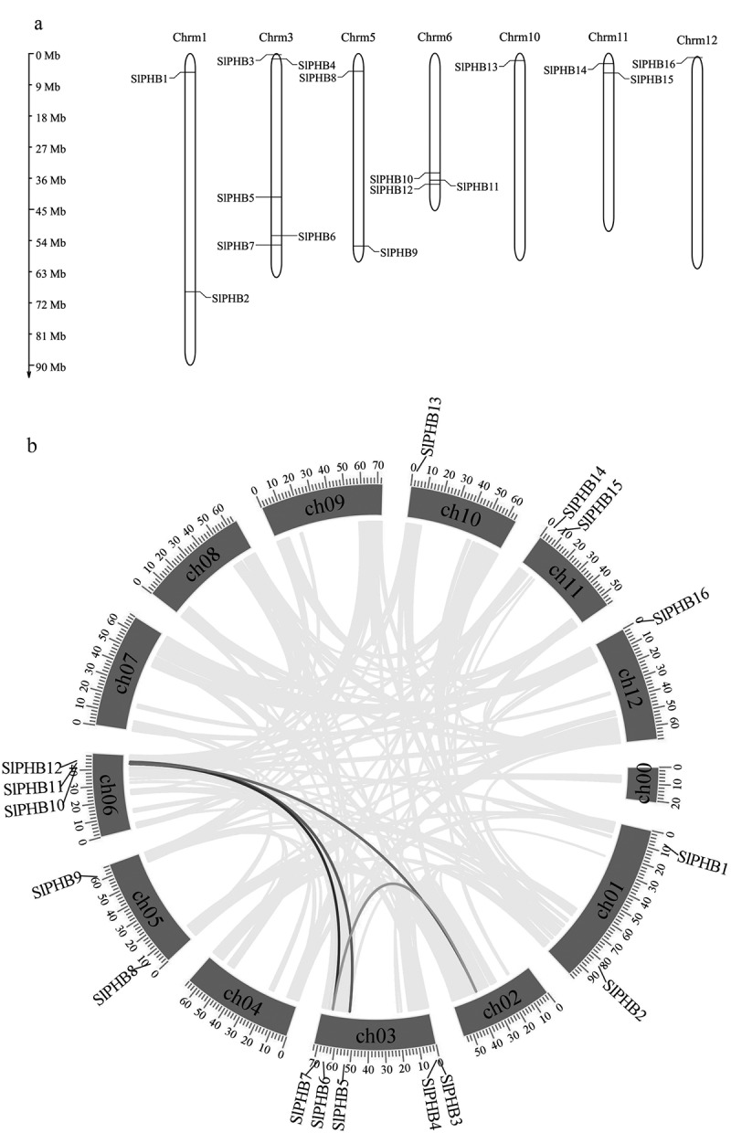 The prohibitins (PHB) gene family in tomato: Bioinformatic identification and expression analysis under abiotic and phytohormone stresses.