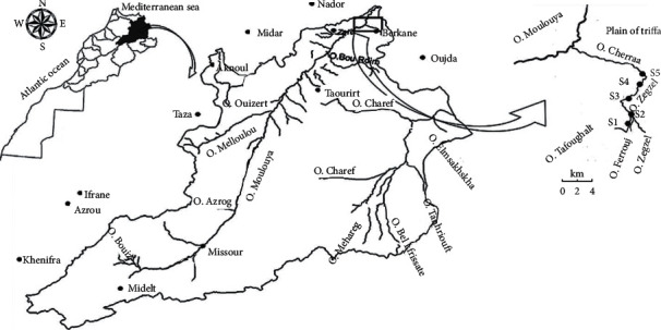 Effects of Physicochemical Variables of Superficial Waters on the Abundance of the North African Freshwater Crab <i>Potamon algeriense</i> (Bott, 1967).