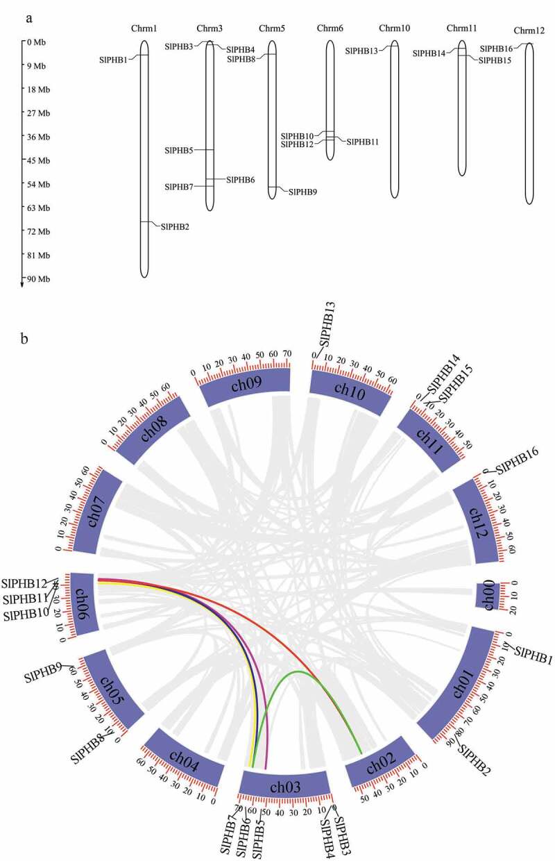 The prohibitins (PHB) gene family in tomato: Bioinformatic identification and expression analysis under abiotic and phytohormone stresses.