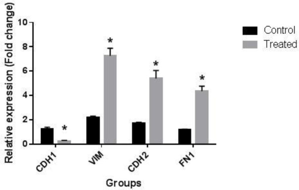 Oral Contraceptive Steroids Promote Papillary Thyroid Cancer Metastasis by Targeting Angiogenesis and Epithelial-Mesenchymal Transition.