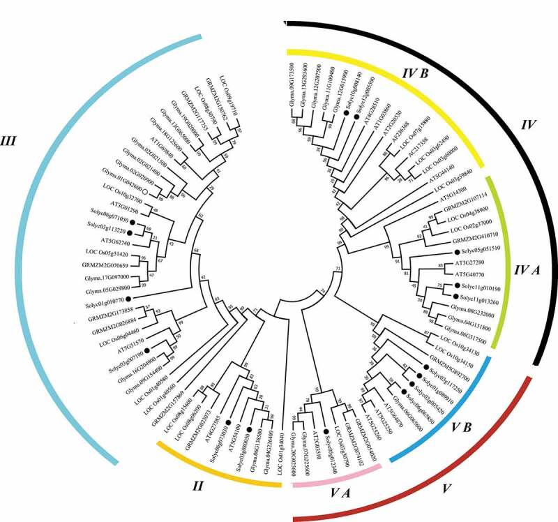 The prohibitins (PHB) gene family in tomato: Bioinformatic identification and expression analysis under abiotic and phytohormone stresses.