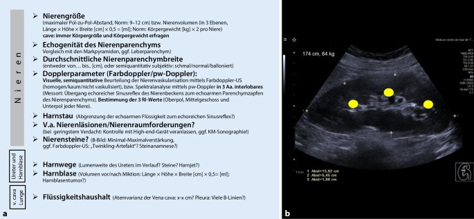 [Clinical ultrasound in nephrology].