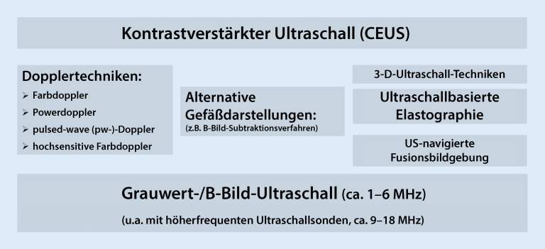 [Clinical ultrasound in nephrology].