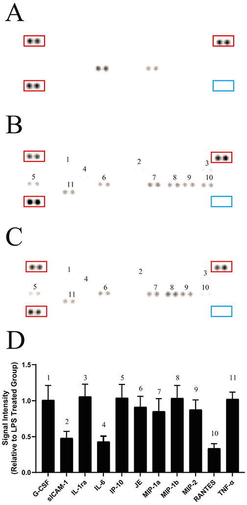 Effects of a CB<sub>2</sub> Subtype Selective Agonist ABK5-1 on Cytokine Production in Microglia.