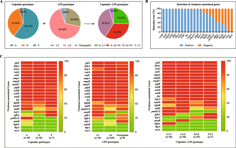 <i>Pasteurella multocida</i> capsular: lipopolysaccharide types D:L6 and A:L3 remain to be the main epidemic genotypes of pigs in China.