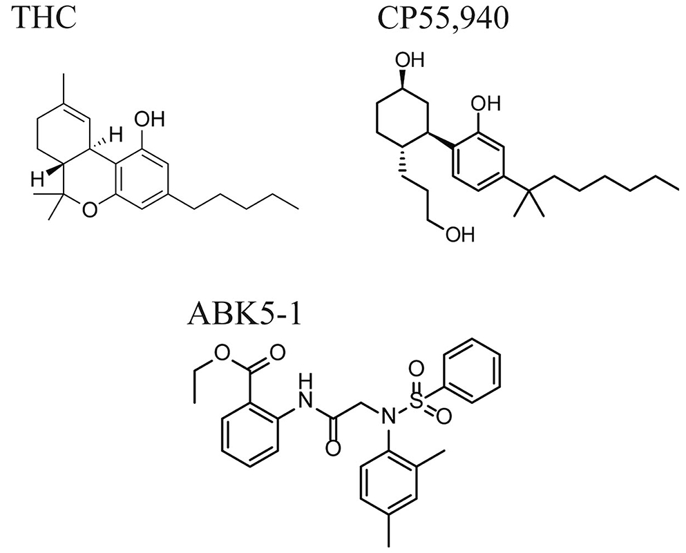 Effects of a CB<sub>2</sub> Subtype Selective Agonist ABK5-1 on Cytokine Production in Microglia.