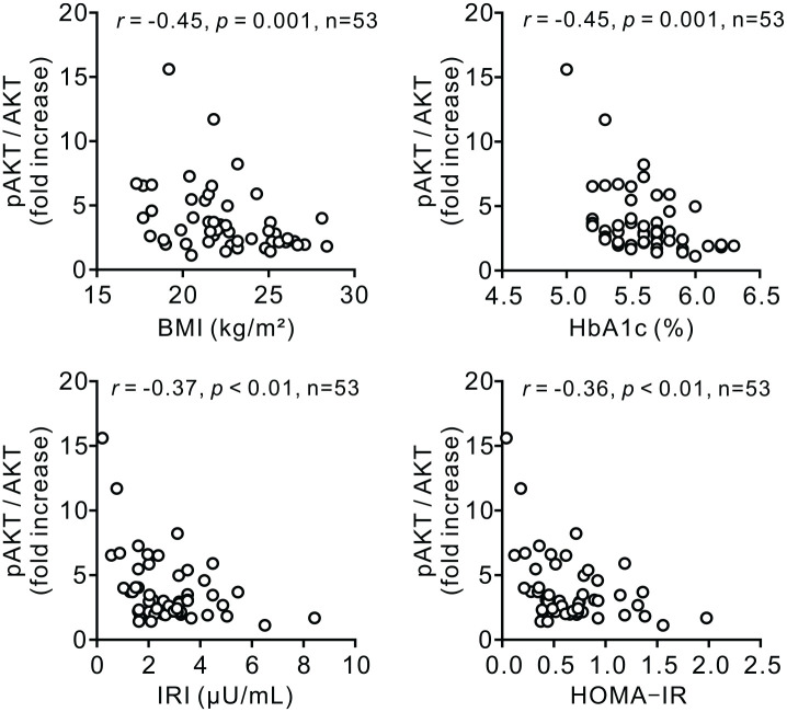 Age-associated decline of monocyte insulin sensitivity in diabetic and healthy individuals.