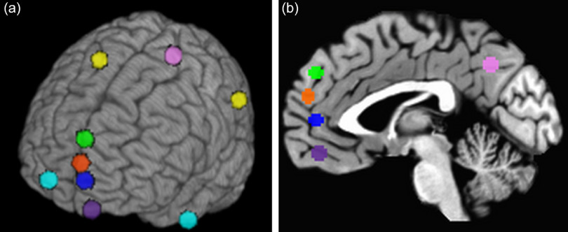 Investigating the neural substrates of Antagonistic Externalizing and social-cognitive Theory of Mind: an fMRI examination of functional activity and synchrony.