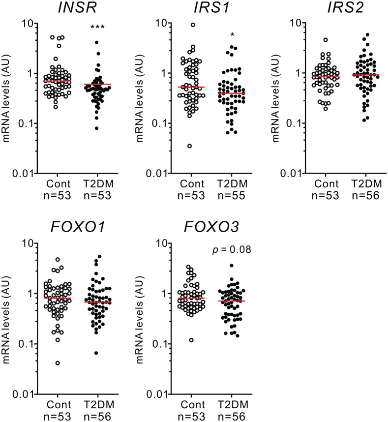 Age-associated decline of monocyte insulin sensitivity in diabetic and healthy individuals.