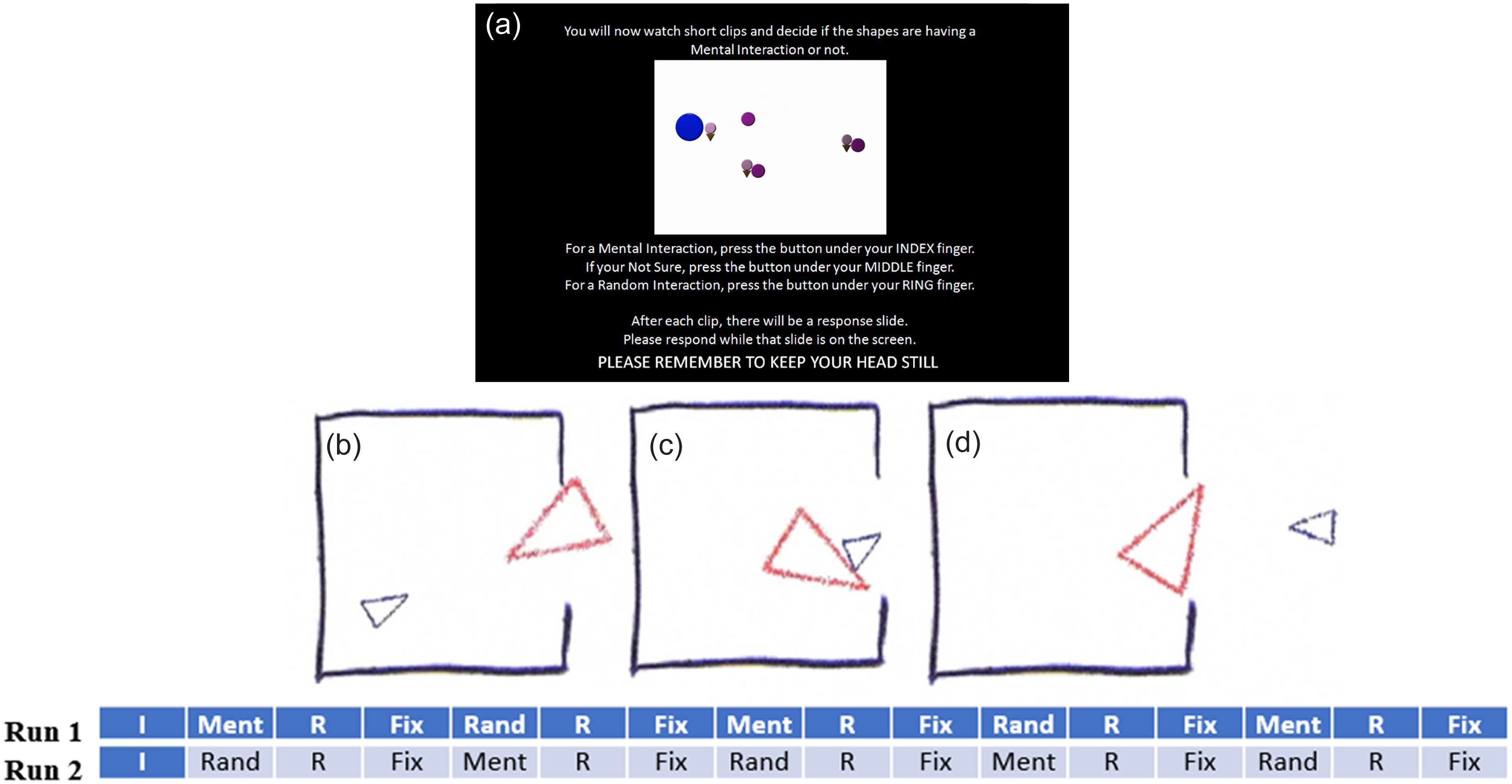 Investigating the neural substrates of Antagonistic Externalizing and social-cognitive Theory of Mind: an fMRI examination of functional activity and synchrony.