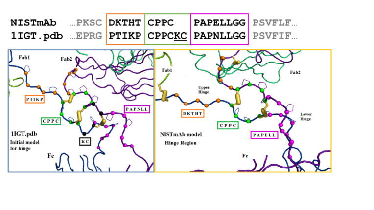 Atomic Model Structure of the NIST Monoclonal Antibody (NISTmAb) Reference Material.