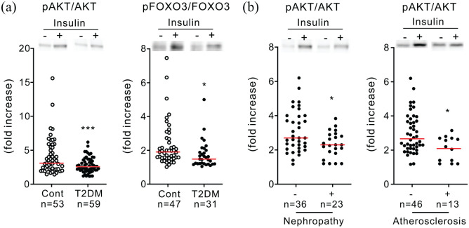 Age-associated decline of monocyte insulin sensitivity in diabetic and healthy individuals.