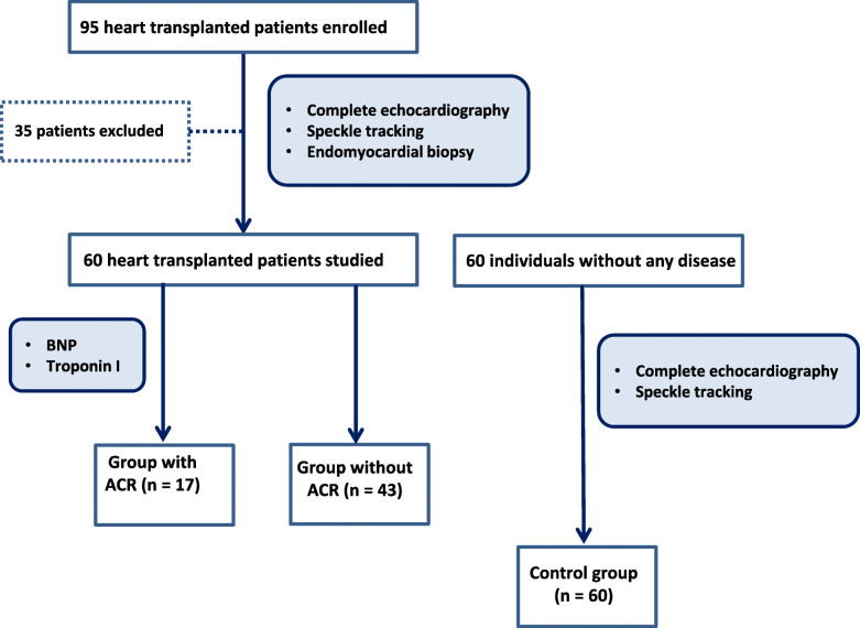 Usefulness of speckle tracking echocardiography and biomarkers for detecting acute cellular rejection after heart transplantation.