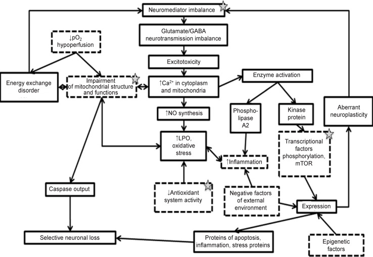 Molecular Mechanisms of Aberrant Neuroplasticity in Autism Spectrum Disorders (Review).