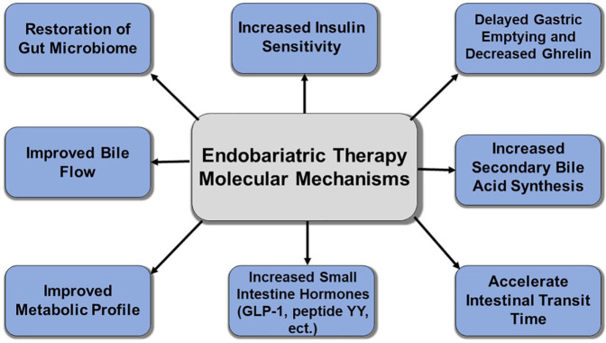 Endobariatric procedures for obesity: clinical indications and available options.