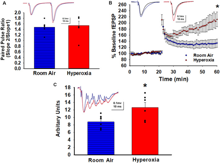 Increased Excitability and Heightened Magnitude of Long-Term Potentiation at Hippocampal CA3-CA1 Synapses in a Mouse Model of Neonatal Hyperoxia Exposure.