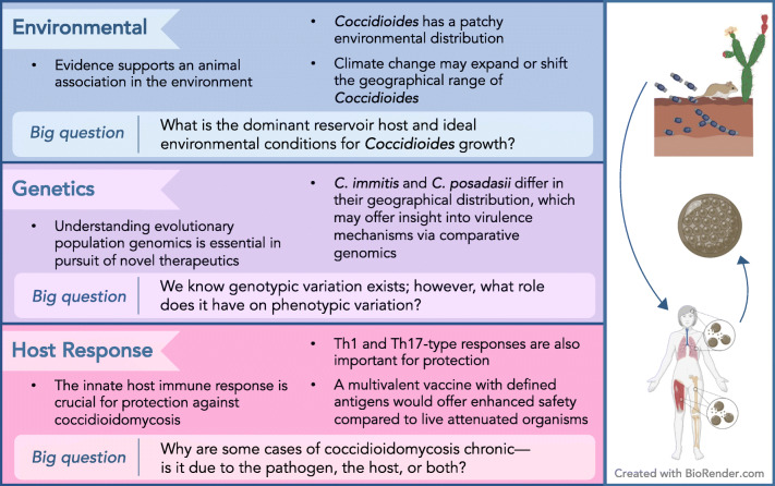 A Review of <i>Coccidioides</i> Research, Outstanding Questions in the Field, and Contributions by Women Scientists.